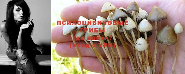 экстази Алексин