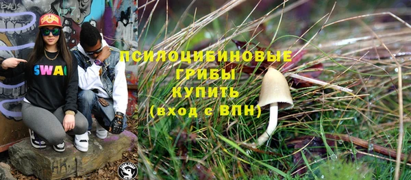 молекула духа Алексеевка